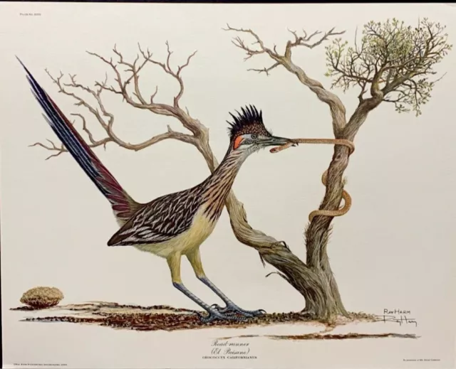 Ray Harm Roadrunner Limited Edition, 54 Year Old Print In Mint Condition Beauty
