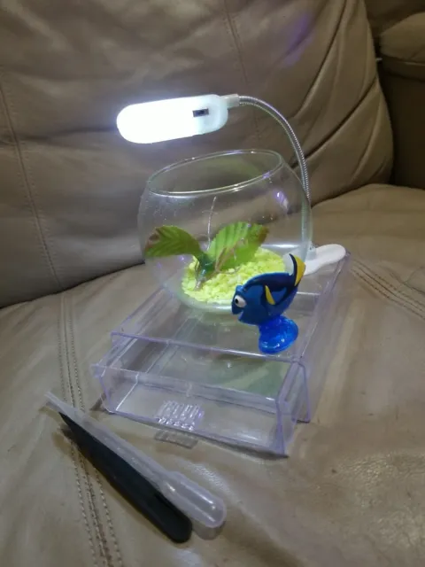 Mini 4 Inch Glass Bowl Beta Fish Tank With Storage Base Led Light Dory Deco Set