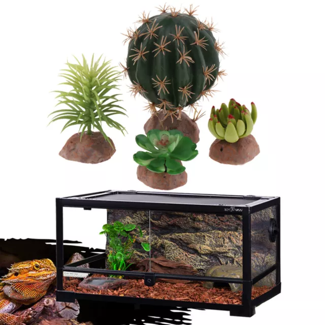 Reptile Terrarium Cactus Succulents Plants Landscape for  Tortoise