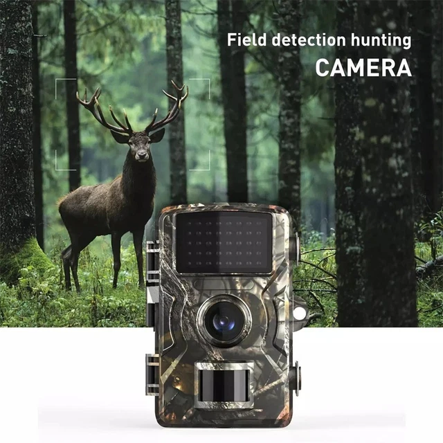 Acheter Caméra de chasse étanche 36mp 1080p, Vision nocturne, détecteur de faune à infrarouge, suivi, Surveillance des sentiers en plein air