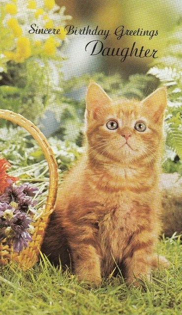 Daughter Happy Birthday Vintage 1970's Greeting Card Ginger Kitten Cat Feline