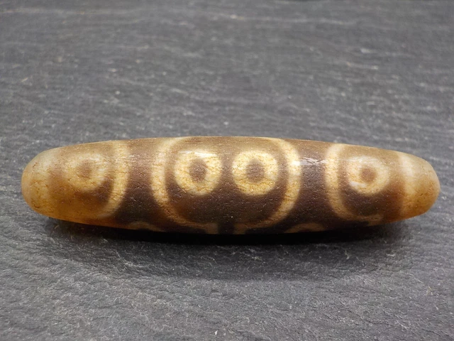 An Agate Dzi bead with a 12 Eye pattern from Tibet / Nepal. Tibetan Dzi Bead.