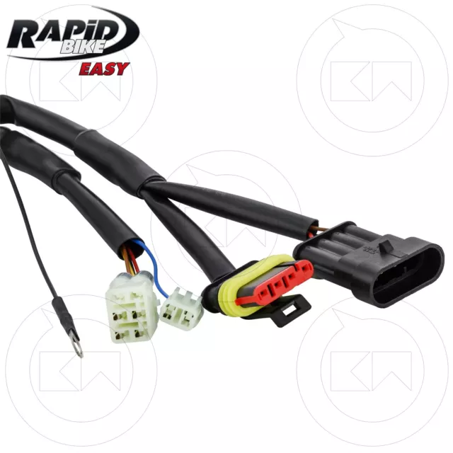 Rapid Bike Easy Centralina Aggiuntiva + Cablaggio Bmw R 1200 S (K29) Anno 2007 3