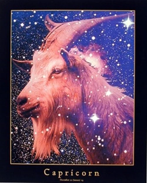 Astrology Capricorn Dec 23 -Jan 19 Zodiac Horoscope Wall Decor Art Print (16x20)