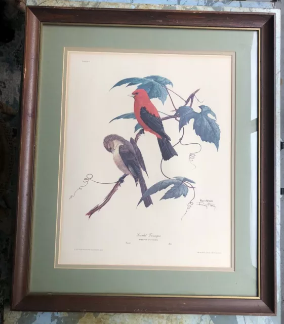 Signed Matted 22"x26" Framed Ray Harm Scarlet Tanager Bird Plate V Print 1963