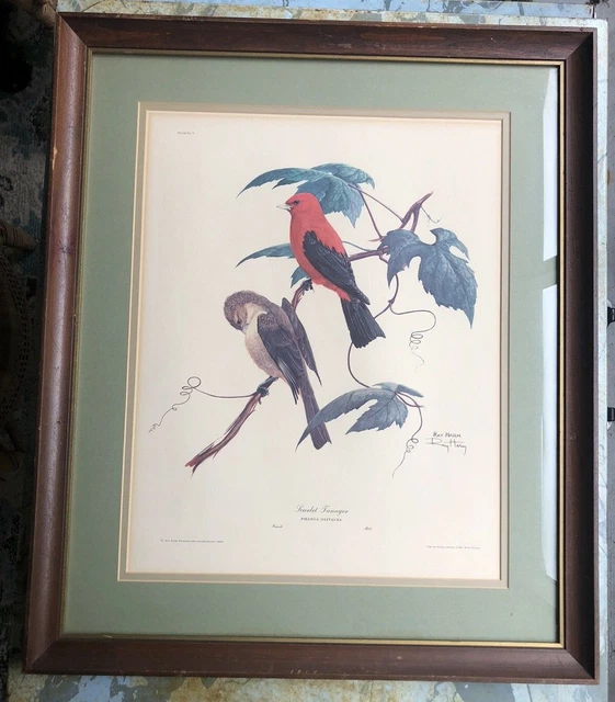 Signed Matted 22"x26" Framed Ray Harm Scarlet Tanager Bird Plate V Print 1963 Signed Matted 22"x26" Framed Ray Harm Scarlet Tanager Bird Plate V Print 1963