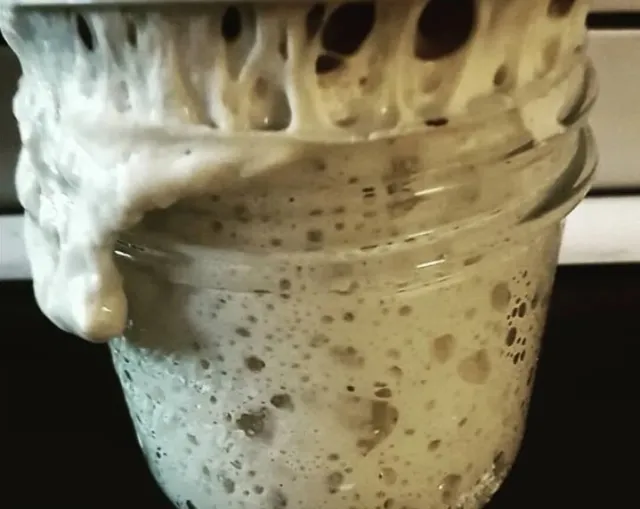 20g Ultra-Active Dehydrated Sourdough Starter - Boost Your Baking Brilliance!
