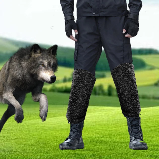 Manchons de jambes d'entraînement pour chien, multifonctions, résistants aux