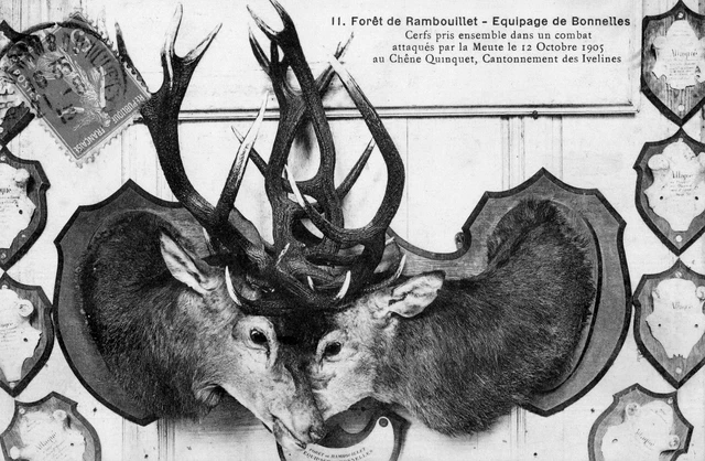 Chasse - cpa 28 DREUX Chasse a Courre L'Attaque