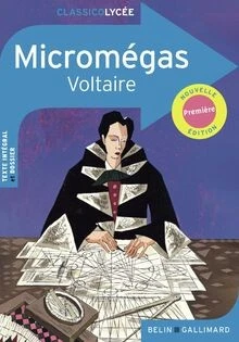 Circonférence Anatomique Voltaire Taille 54 (135cm) - Cuir, Occasion état D'usage