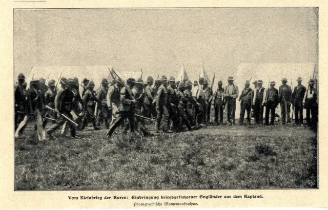 Südafrika * kriegsgefangene Engländer aus dem Kapland * Bilddokument von 1901