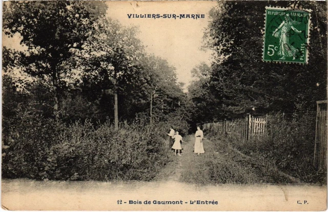 CPA AK Villiers s Marne Bois de Gaumont-L'Entree FRANCE (1282913)
