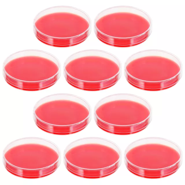 10PCS Laboratory Petri Dish Petri Dish Agar Petri Dishes with Agar Jelly Guide