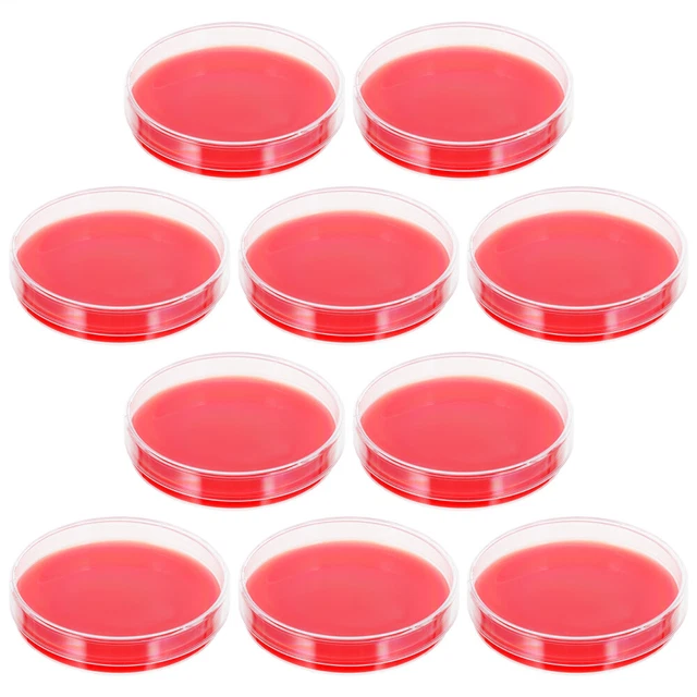 10PCS Laboratory Petri Dish Petri Dish Agar Petri Dishes with Agar Jelly Guide