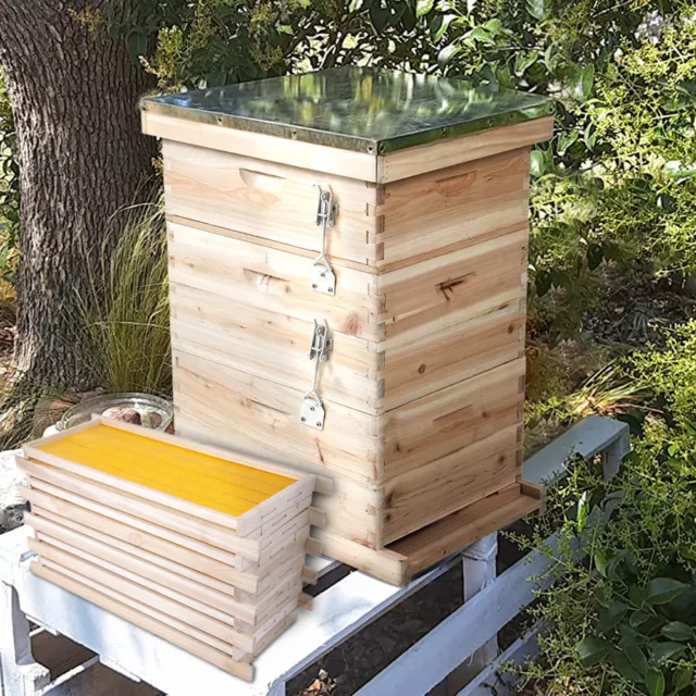 Large Langstroth Beehive Wooden Bee Hive House Brood Box Beekeeper Beekeeping