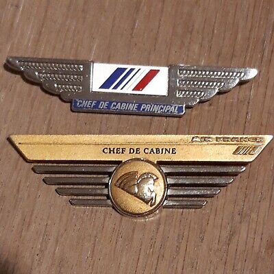 Broche PIN Wings Crew compagnie aérienne AIR LIBERTE France DORÉE  insigne badge 