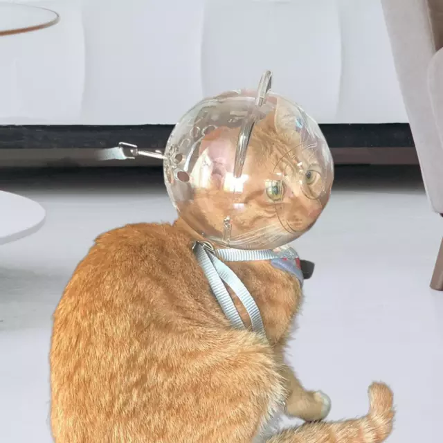 Cat Muzzle Transparent Durable Anti Bite Cat Mouth Cover Helmet Muzzle Cat Space