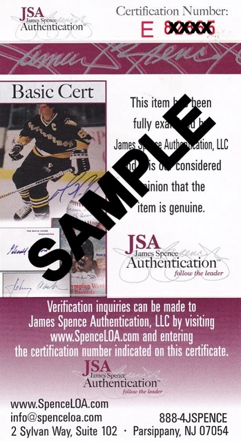 DONNA D’ERRICO PLAYBOY & Baywatch Bikini Cleavage Star Signed 8 x 10