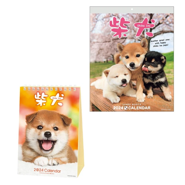 SHIBA INU WALL Calendar 2025 and Desktop Calendar 2025 (2 Calendars