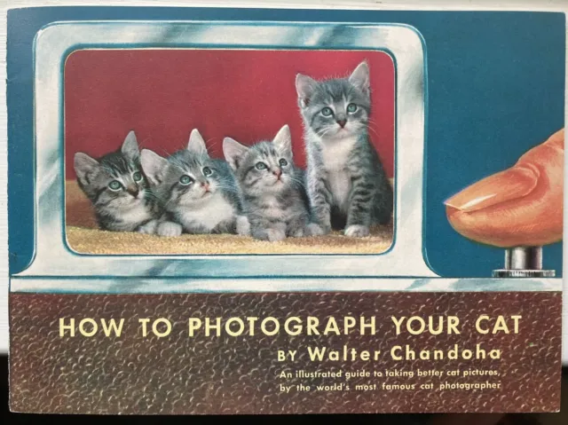 Botas raras 1955 ""Cómo fotografiar a tu gato"" Walter Chandoho Puss'n mundialmente famosas