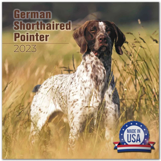 GERMAN SHORTHAIR POINTER Premium Wall Calendar 2024 Made in the USA