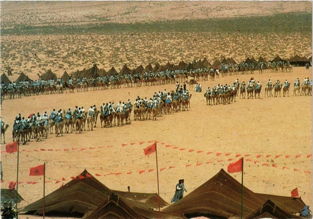 CPM AK MAROC INFINI-Laayoune. Depart de la course de Chameaux (342512)