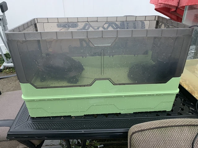 Complete Turtle Tank Setup Comes With Everything You need PICKUP ONLY NJ