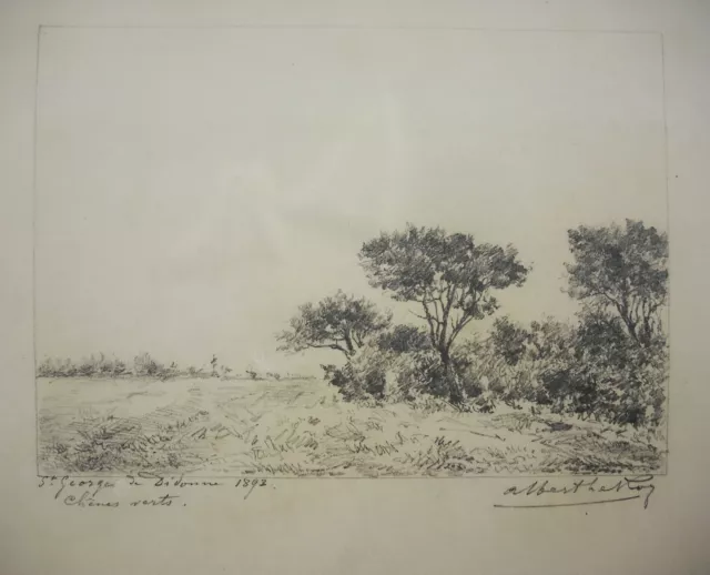Albert el Roy 1892 Saint-Georges-de-Didonne Oaks Verde Dibujo Charente-Maritime