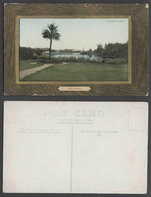 Australia Adelaide Torrens Lake Palm Tree Panorama Australian Old Color Postcard