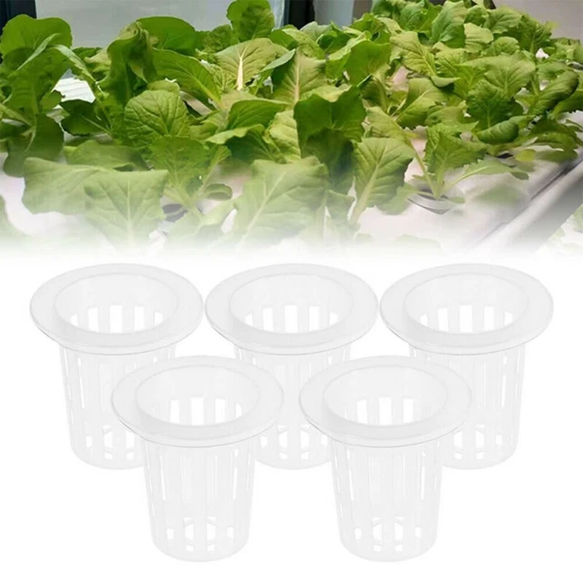 Promouvoir une croissance efficace des plantes avec maille fendue filet à légu