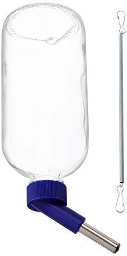 Lixit Chew Proof Glass Water Bottle 16Oz