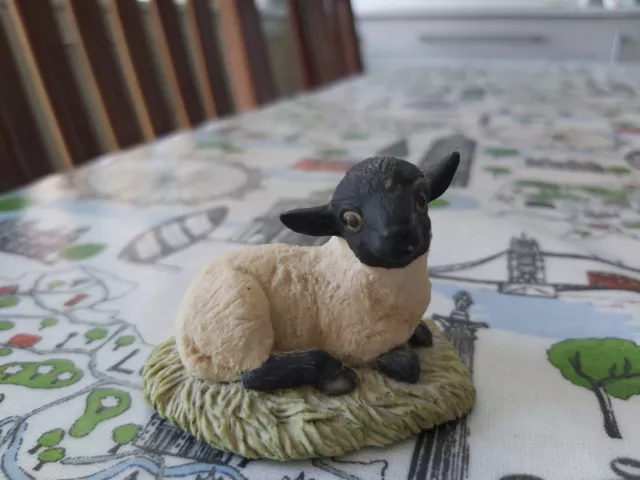Exquisite Study Of A Lamb Blackface Ff8 Made In Britain By Border Fine Arts