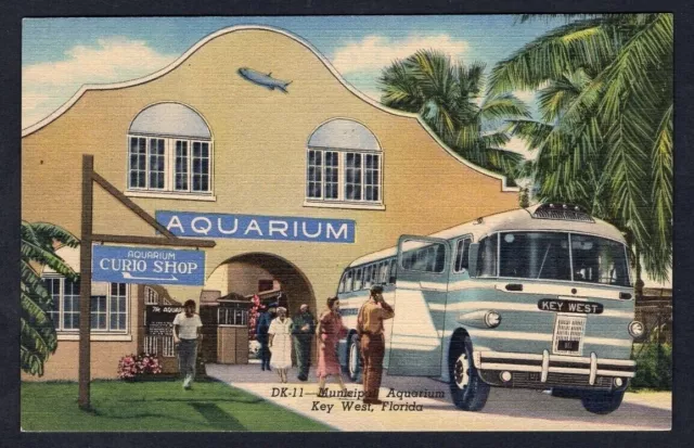 KEY WEST Florida 1940s Aquarium & Curio Shop Bus Linen Postcard Curteich