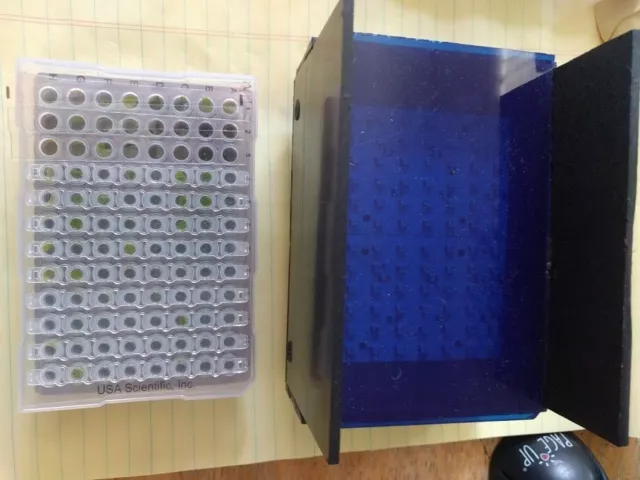 blue light transilluminator box works with sybr green