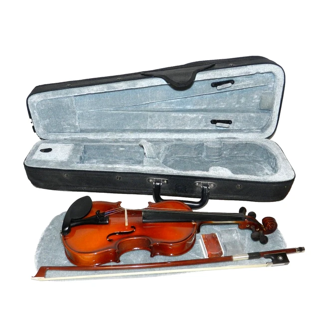CARLO GIORDANO VIOLIN Set VS-1C 1/16 with Light Blue Case EUR 360