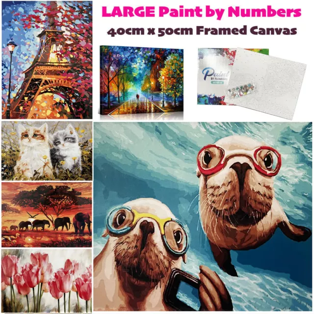 Large Paint By Numbers with Framed Canvas DIY Oil Acrylic Painting Kit Wall Art