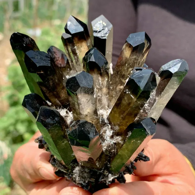 Crystal Cluster Mineral Specimen Healing Find Black Phantom Quartz New