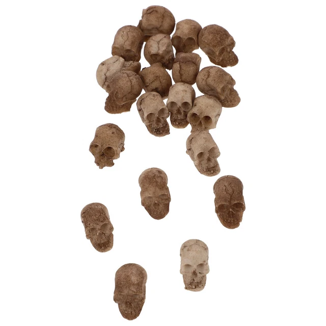 Sculpture, Memento Mori - 200 mm - Sculpture de crâne réaliste avec