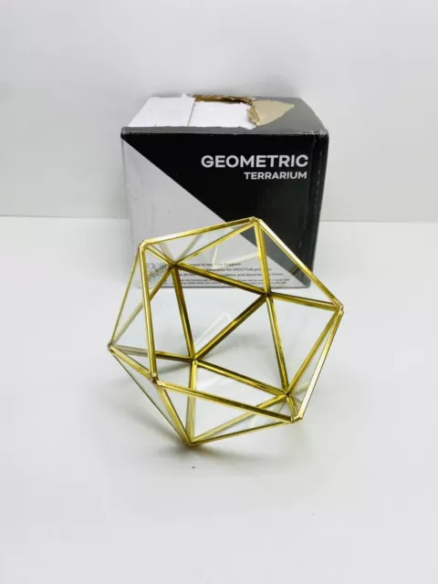 Geometric Glass Terrarium Half Ball Pentagon Planter Indoor Balcony Window 5”