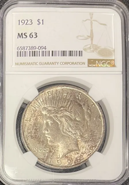 1923-P  Philadelphia Mint Peace Dollar NGC MS 63 With Toning 💥💥LOOK💥💥