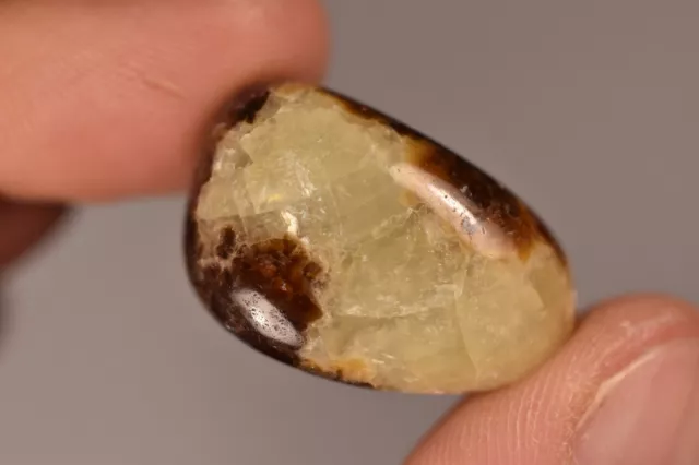 *SEPTARIAN NODULE* Tumbled Stone 2.7cm 14g Healing Crystal Aragonite Calcite