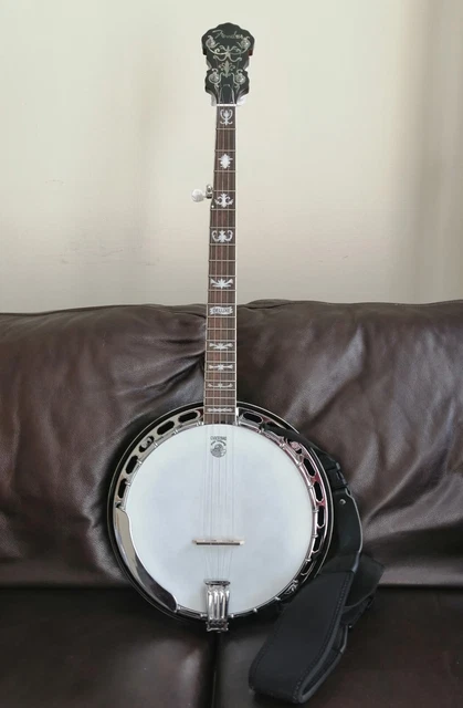 BANJO FENDER Deluxe 5 string resonator FB58 with hard case