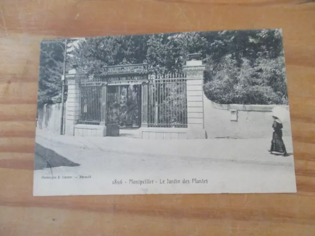 CPA carte postale ancienne MONTPELLIER LE JARDIN DES PLANTES 34