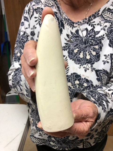 blank tusk tip replica tooth ready to scrimshaw #5