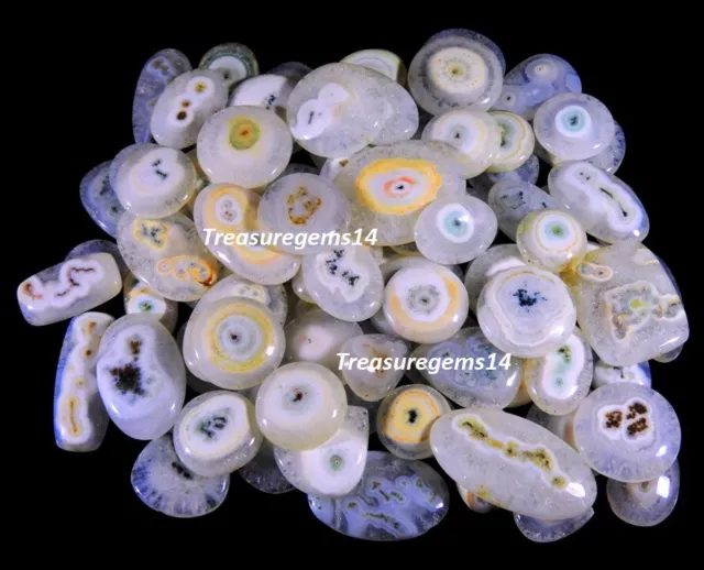 250 Cts Wholesale Lot Natural Moss Designer White Solar Quartz Cabochon Gemstone