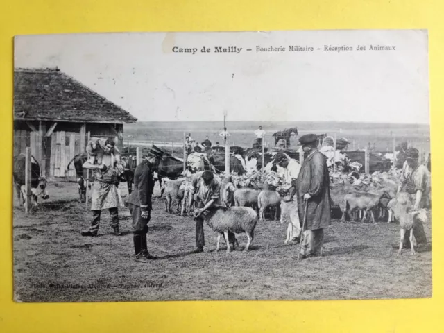cpa CAMP de MAILLY MILITARY BUTCHER MILITARY BUTCHER RECEPTION ANIMALS SOLDIER