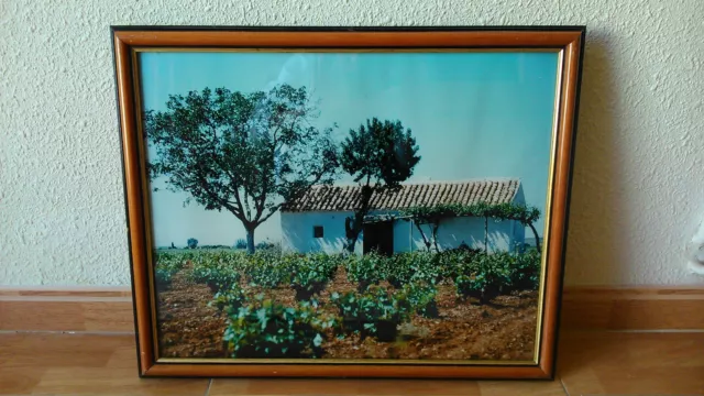 Cuadro fotografia Paisaje rural ya enmarcado. Decoracion rustica y campestre.