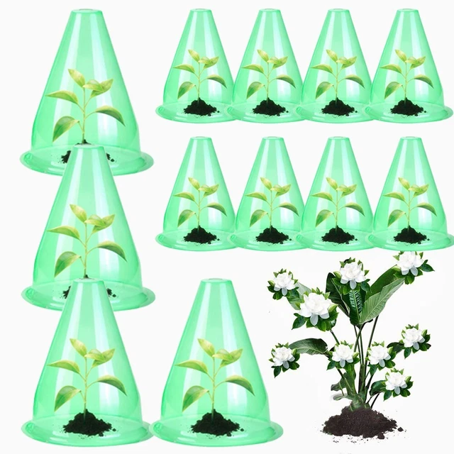 Pellicola Riflettente Mylar Per Piante - 160x210 Cm, Argentata, Per Serre E Coltivazione Indoor - Foto 9