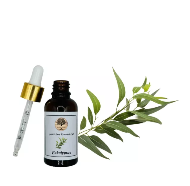100% Pure Huile Essentielle d' Eucalyptus  10 ml - 1000 ml | Qualité Supérieure 2
