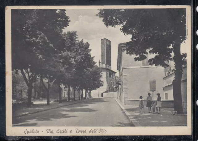 Cartolina Spoleto Via Cecili e Torre dell'Olio ANIMATA L81